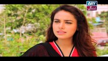 Haal-e-Dil Episode 114 - on Ary Zindagi in High Quality 22nd March 2017