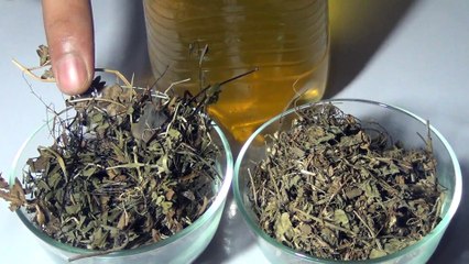 Balon Ko Lamba' Ghana' Aur Chamakdaar Karne Wala Gharelu Oil By Arshad