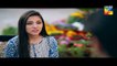 Dil e Jaanam Episode 4 Full HD HUM TV Drama 22 March 2017
