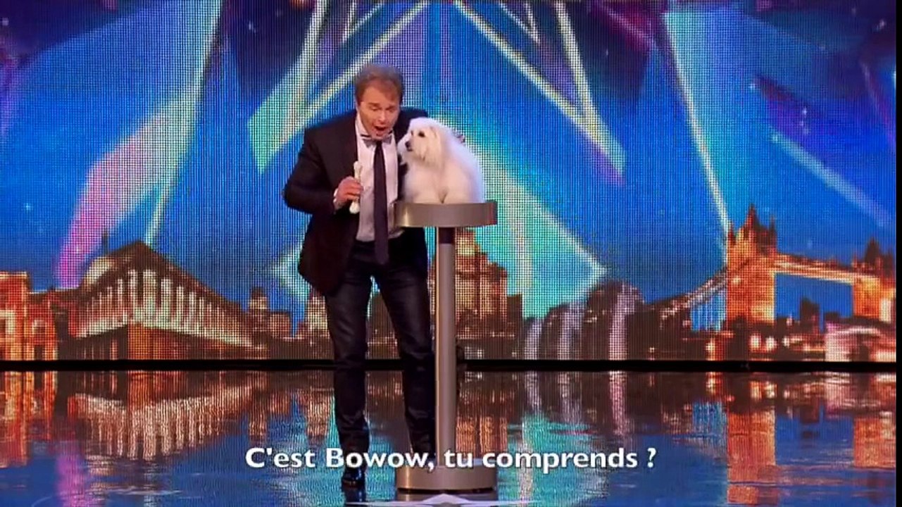 Le premier chien qui parle ! incroyable