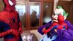 Анна Бэтмен Эльза замороженный замороженные килектор в в в в джокер пагубный шалость человек-паук