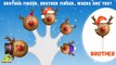 Rudolf Cake Pop Finger Family | Christmas Songs | Christmas Carols | Xmas