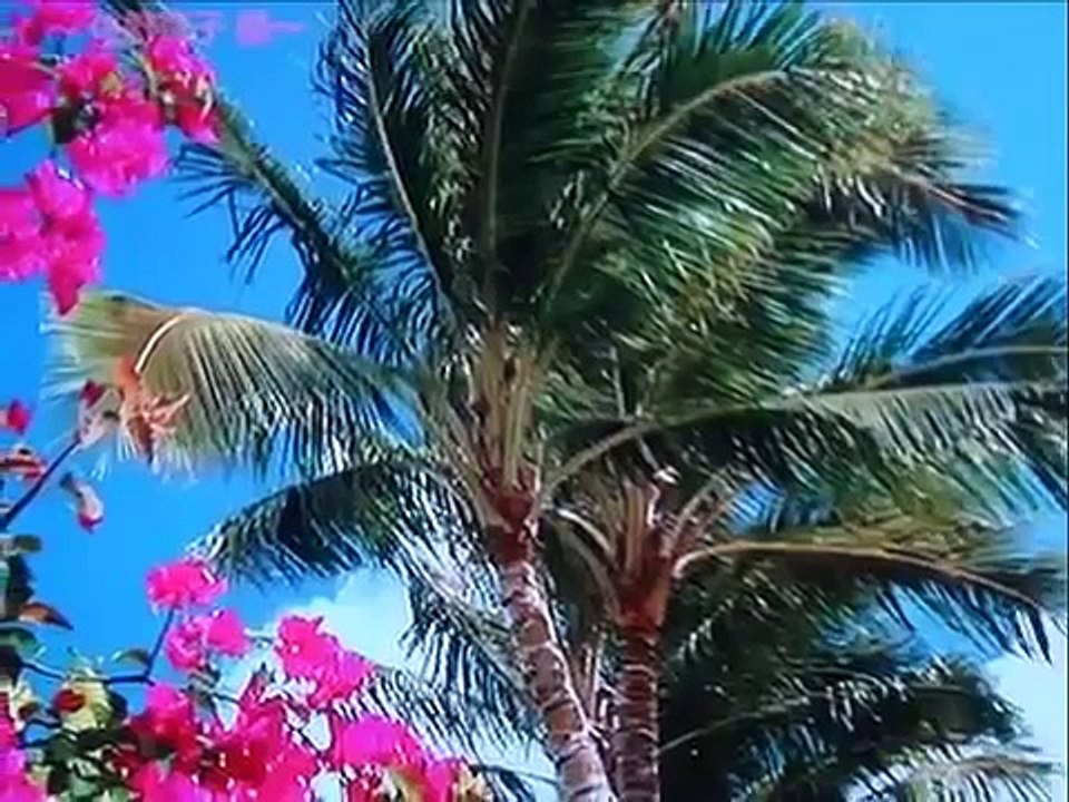 夢誘うハワイ・・・つじ☆さちこ