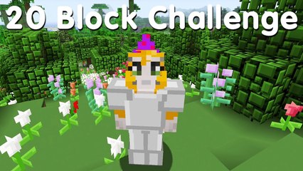 Minecraft PS4 - 20 Block Challenge - Adventuring Time (27)