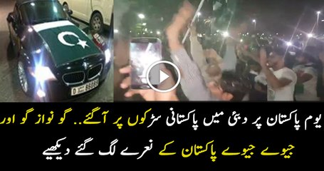Go Nawaz Go in Dubai 23 March 2017