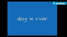 Dog On River