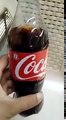 Shocking Animal Found From Coca Cola Bottle