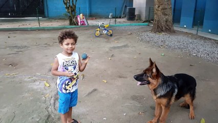 As Aventuras De Pablo