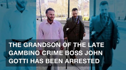 John Gotti's grandson and 'Lufthansa Heist' mobster arrested for arson