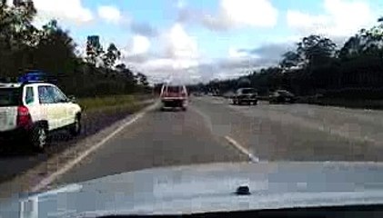 Speed demon pigeon is hell-bent on racing cars down the highway