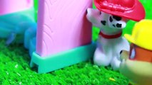 PAW PATROL Nickelodeon SWIMMING RESCUE Paw Patrol Chase Zuma Pup to Hero Mr Bubble Kids Video