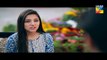 Dil e Jaanam Episode 4 Full HD HUM TV Drama 22 March 2017