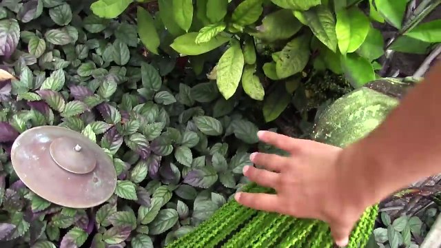 SHARKS IN THE WATER SLIDE!?! Mikes Leap of Faith @ Atlantis (FUNnel Vision Bahamas Trip P