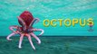 Deep Sea Creatures In Ocean | Learning Sea Animals Names For Children | Dangerous Sea Crea