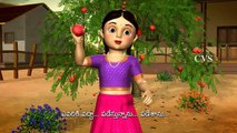 Danimma Pandu 2 Telugu 3D Animated Nursery Rhymes Sanskrit Telugu Hindi Tamil 7 Segment100