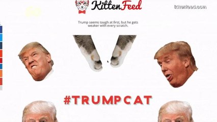 President Trump Shuts Down Teen's Site of Kittens Punching Him