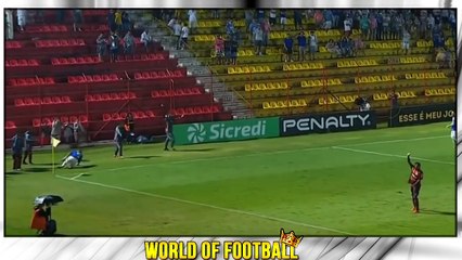 VINICIUS JUNIOR _ Flamengo _ Goals, Skills, Assists _ 2017  (HD)