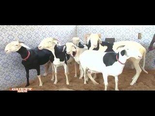 GUETH GUI DU DIMANCHE 27 DECEMBRE 2015