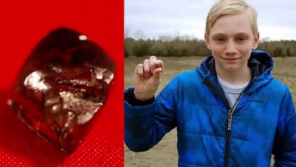 Un ado trouve un diamant de 7,44 carats dans un parc