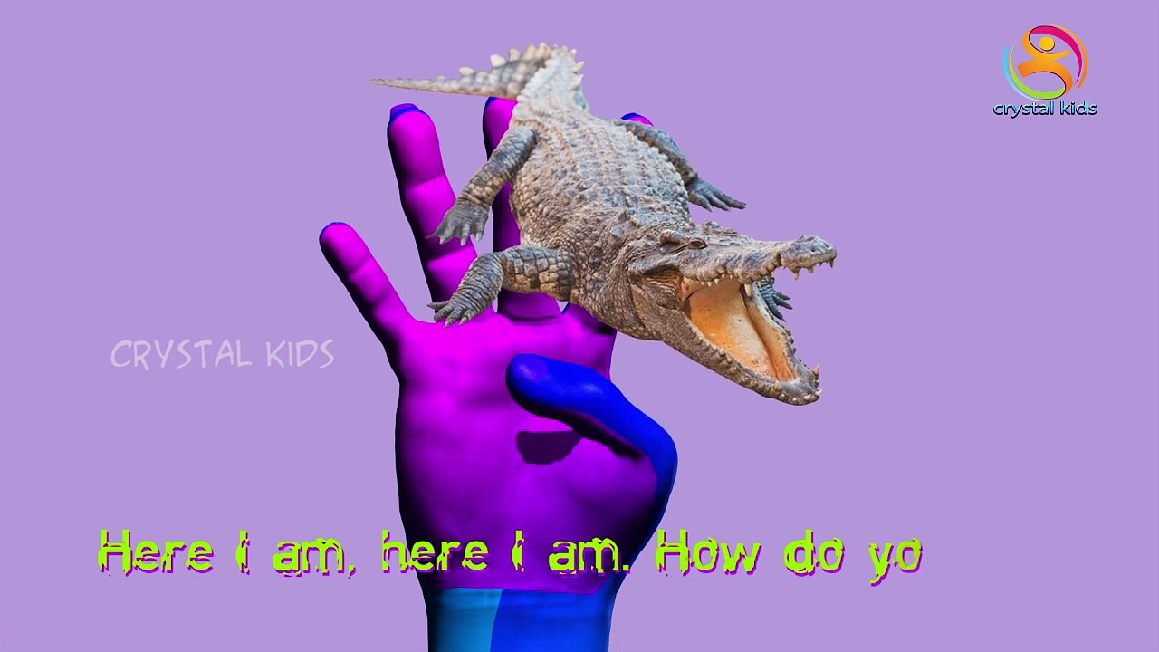 Животное анимационный мультфильм Дети крокодил динозавры Семья палец к к к к к к питомник рифмы против |