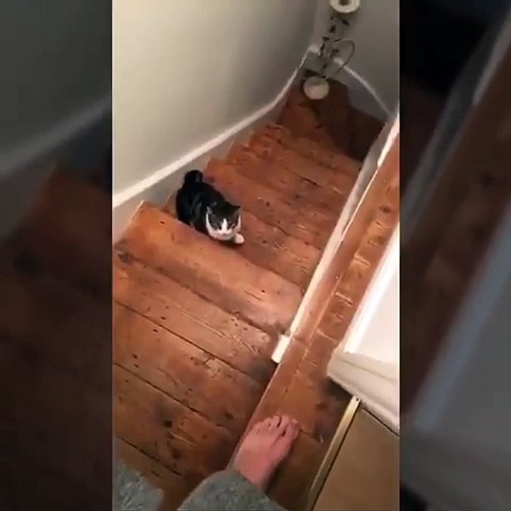 You Shall Not Pass