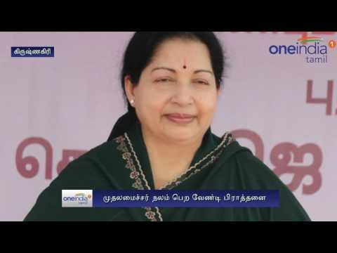 Krishnagiri: ADMK cadres special prayer - Oneindia Tamil