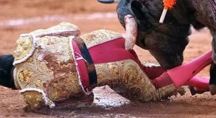 Cornada recibida por Antonio Romero