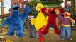 Finger Family Song SESAME STREET CARS Cookie Monster Big Bird Elmo Ernie Cookie Tv Video
