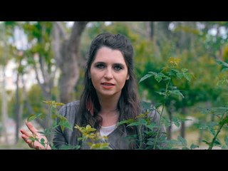 Bugün Hıdrellez! Peki Hıdrellezde Nasıl Dilek Dilenir?