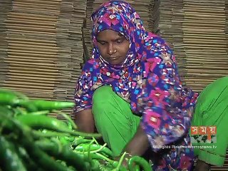 আট ধরনের সবজি ও ফলমূল ইউরোপে রপ্তানি বন্ধ