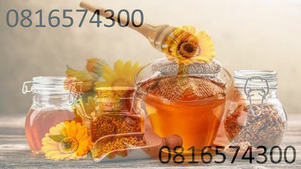 0816574300 Jual Madu Anak Tolikara