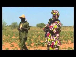 CA ME DIT MAG du 21 novembre 2015