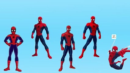 Spiderman Cartoon Finger Family Nursery Song | Spider-man Daddy Finger Song