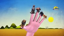 Finger Family Colors Lion Dinosuars Godzilla King Kong Tiger Cartoons For Children Nursery