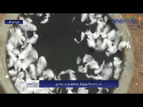 Tirupur Egg poultry causes health hazard - Oneindia Tamil