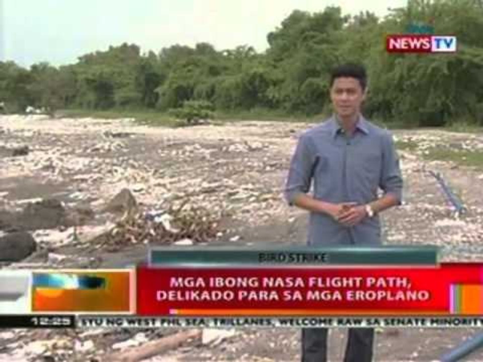 BT: Mga ibong nasa flight path, delikado para sa mga eroplano