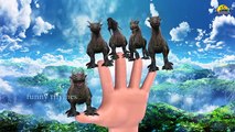 Finger Family 3d Animals Collection Nursery English rhyme | Dinosaur,Lion,Tiger,Dragon,Chi