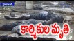 Two workers fall in septic tank, die | Hyderabad - Oneindia Telugu