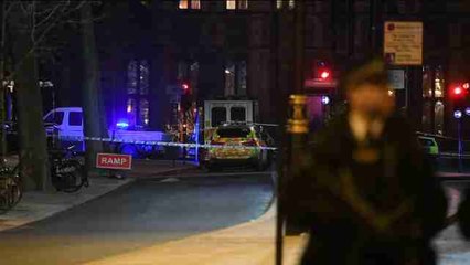 Terrorista mata a cuatro personas y deja heridas a unas cuarenta en Londres