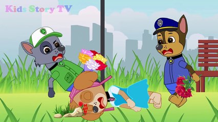 Paw Patrol Baby Shifty Love Water into Tea Coffee ⒻⓊⓁⓁ Episodes! Paw Patrol Animation For