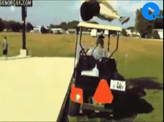 This will make anyones day better