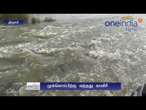 Cauvery Water Reaches Mukkombu | முக்கொம்பு ஓடி வந்த காவிரி நீர்