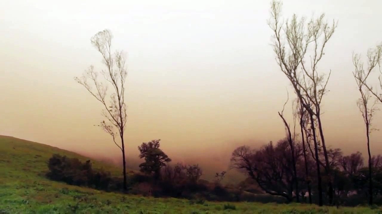 The landscapes Part11　新貝聖士