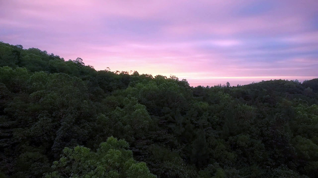 The landscapes Part12　新貝聖士