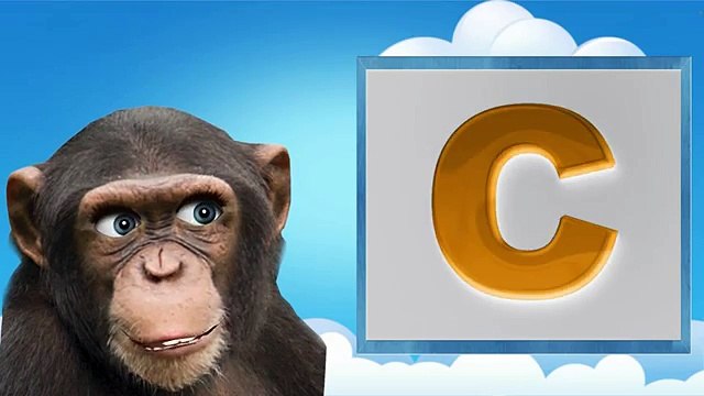 в и к Абрасо против с де де по из су су су ООН ООН ООН как благодарное сердце шимпанзе спасатель выпустили