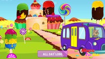 Wheels On The Bus | Finger Family & more | Nursery Rhymes Collection | Songs for Kids & To