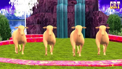 Cow Colourfull Colour Song || Cartoon Kids Rhymes For Learning Nursery Rhymes Collection