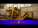 Dad Shows Off Creative Gender Reveal With Rube Goldberg Machine