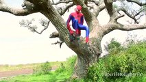 Superhero in Real Life Spiderman Playing With A Gun In Real Life Irl Shooting Ruger Mkı 22