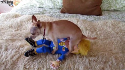 Tiens prend ça Donald Trump